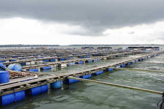 Offshore ocean open water fish farm in the tropics - Fish Farm in Asia Malaysia around Pulau Ketam