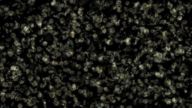4k Plankton,transparent cells,tiny microbes.