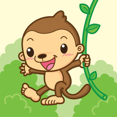 Cute monkey with vine