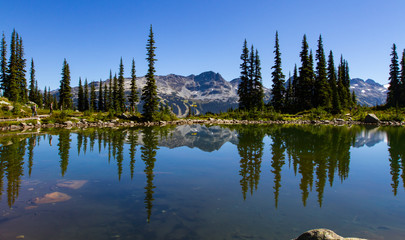A beautiful summer landscape view of Blackcomb mountain viewed from Whistler on a hiking trail by harmony lakes with people walking on the boardwalk in the distance