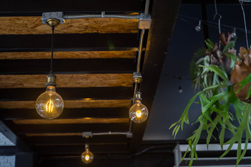 Light bulb in coffee shop