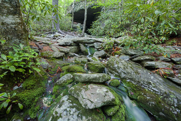 Cascading Stream In The Smoky Mountains