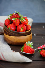 Fresh organic strawberries