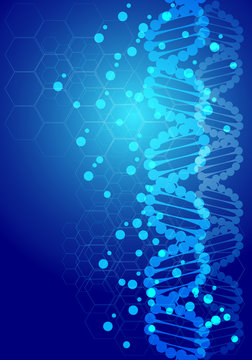 Science DNA molecule hexagon mesh on blue background vector illustration.