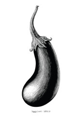 Eggplant hand drawing vintage engraving illustration on white background
