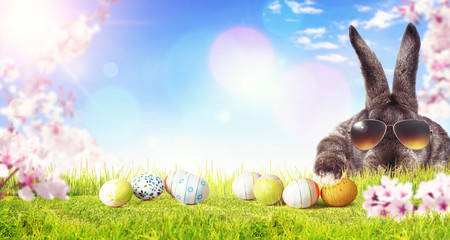 Frohe Ostern!