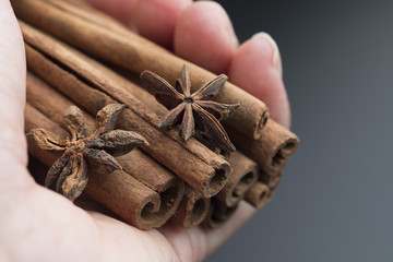 Anise stars and cinnamon sticks in hand