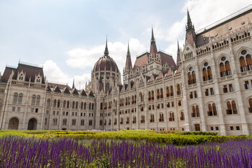 Obraz premium Budapest in may