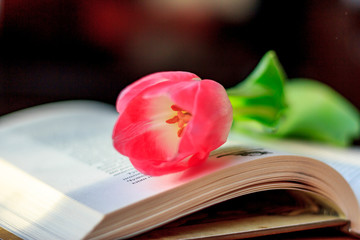 Good reading