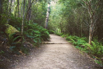 Fototapeta premium Silverband Waterfall 4