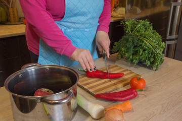 Woman's hands cutting pepper, behind fresh vegetables. Woman cook at the kitchen. Chef cuts the vegetables into a meal