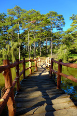 bridge cross a lake in pine forest