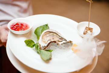 Oyster