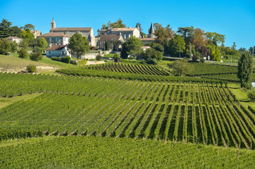 Fototapeta na wymiar Saint-Emilion-Vineyard landscape-Vineyard south west of France