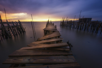 Muelle 