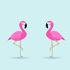 Flamingo bird illustration design on background