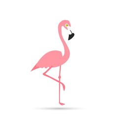 Pink flamingo on a white background.