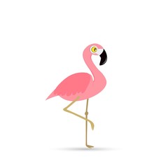 Pink flamingo on a white background.