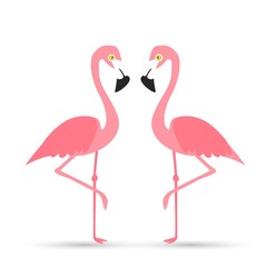 Fototapeta premium Pink flamingo on a white background.
