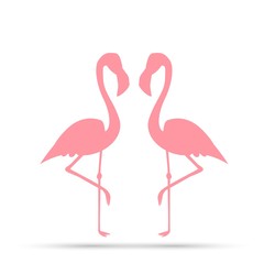 Pink flamingo on a white background.
