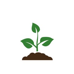 Seedling icon vector, growing tree, green agriculture