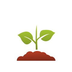 Seedling icon vector, growing tree, green agriculture