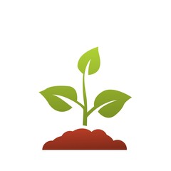 Seedling icon vector, growing tree, green agriculture