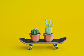 Cactus abstract minimal yellow background, Nature concept