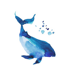 Blue whale on a white background. Watercolor illustration