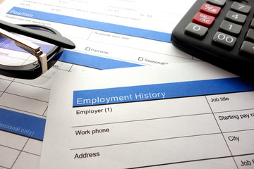 Employment history heading, job application form