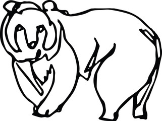 Bear. Africa, continuous line.