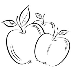 Beautiful silhouette of apples on a white background. Contour drawing. Element for design and decoration. illustration.