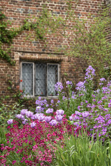 Quintessential vibrant English country garden scene landscape with fresh Spring flowers in cottage garden