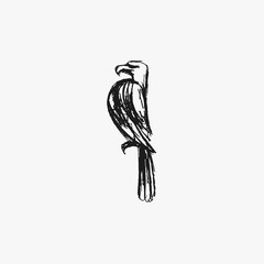 Hand drawn sketch of an eagle
