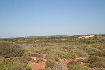 riserva naturale orientata oasi faunistica di vendicari