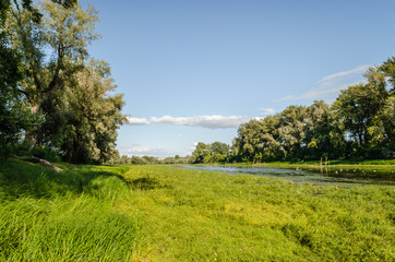 Summer lake panorama 