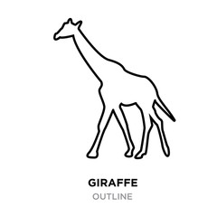 giraffe outline images on white background, vector illustration