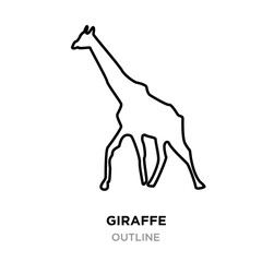 giraffe outline images on white background, vector illustration