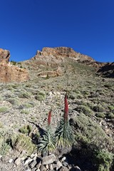 Teide Nationalpark - Guajara und Taginaste