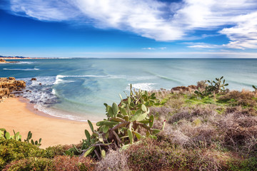 Fototapeta na wymiar Beautiful coast of the ocean, Algarve, Portugal. Cacti grow on rocks, stunning seascape