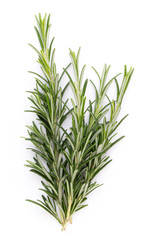 Rosemary spice on the white background.