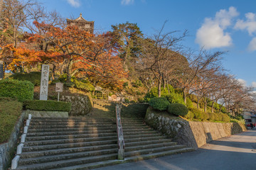 秋の丸岡城の風景