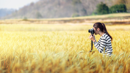 Hipster girl photographing ripe wheat field in soft light of sunset