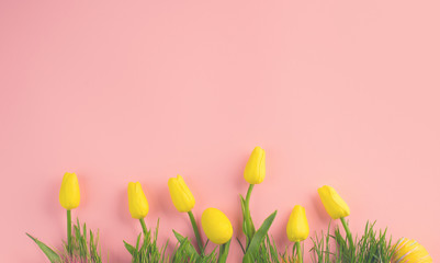 Easter background. Bright yellow eggs and vivid spring blooming tulip flowers and fresh grass over pink background. Easter backdrop