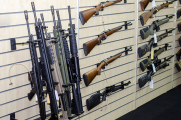 Gun wall rack with rifles