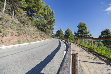 Road and pathway, sunny day.