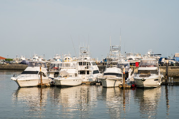 boats at harbor - motorboats parking