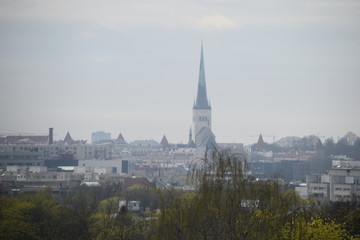 Fototapeta na wymiar city tallinn estonia