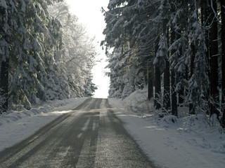 Beautiful winter landscape with snow covered trees
