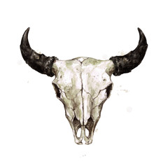 Bison Skull. Watercolor Illustration. © nataliahubbert